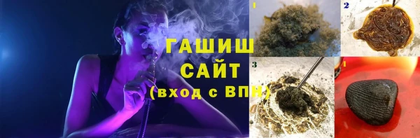 тгк Инсар