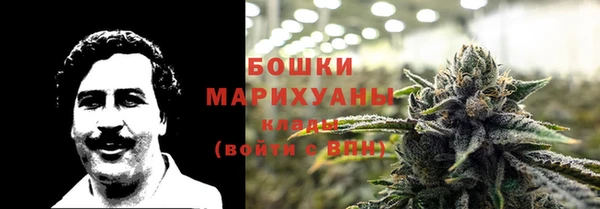 молекула духа Зеленокумск