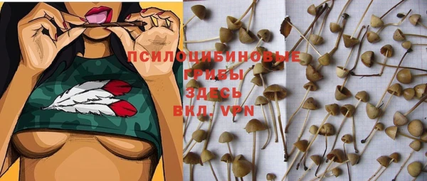 твердый Усинск