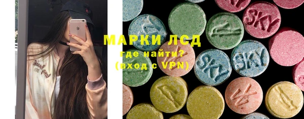 тгк Инсар