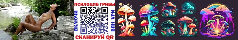 Купить где  Плёс  Галлюциногенные грибы GOLDEN TEACHER 